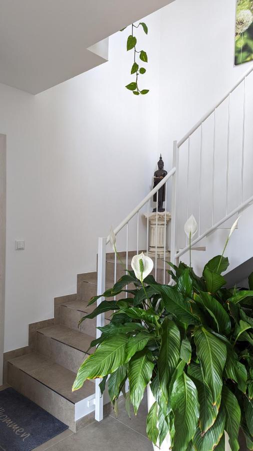 Gaestehaus Freystadt Extérieur photo