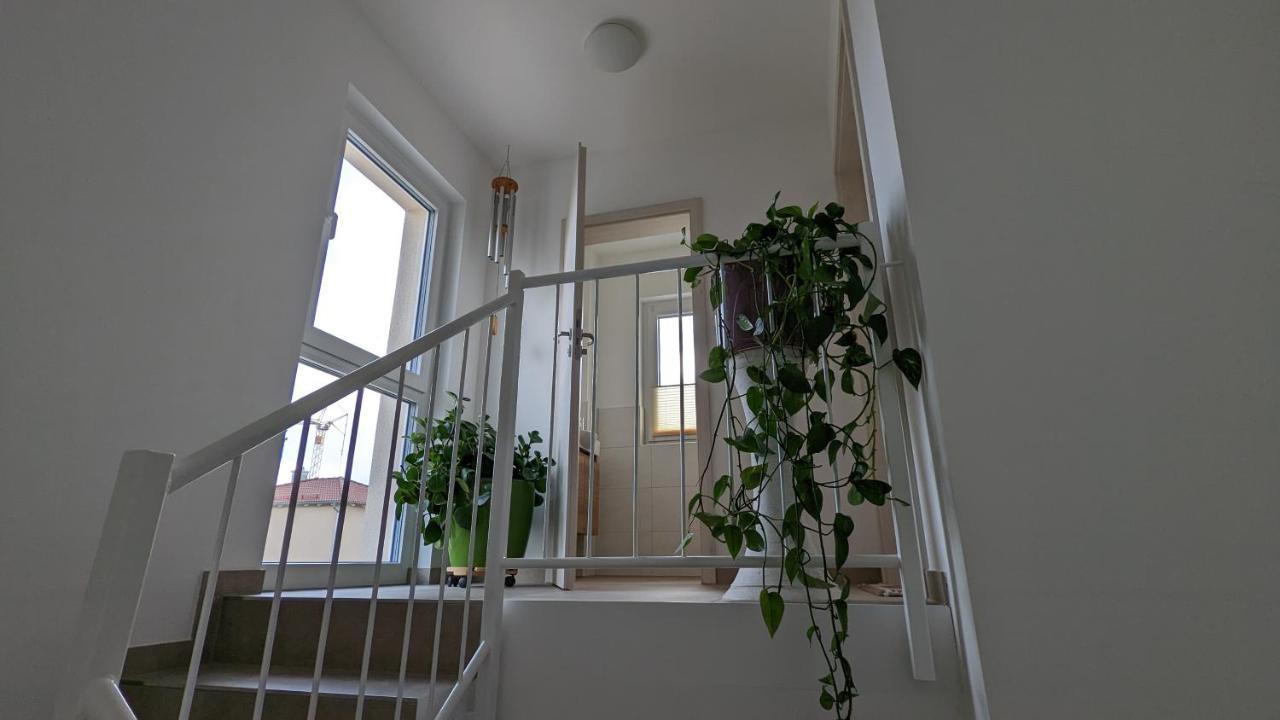 Gaestehaus Freystadt Extérieur photo